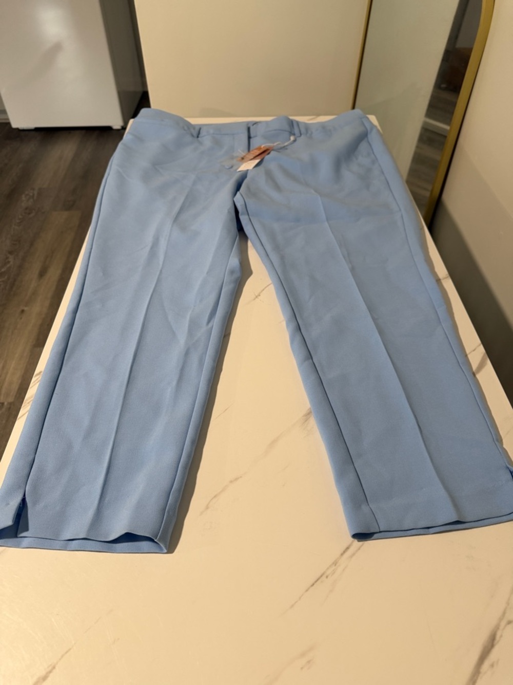 Lane Bryant Light Blue Women's Pants - The Allie